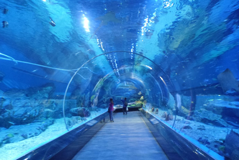 <b>水族工程，就選米樂(lè)</b>