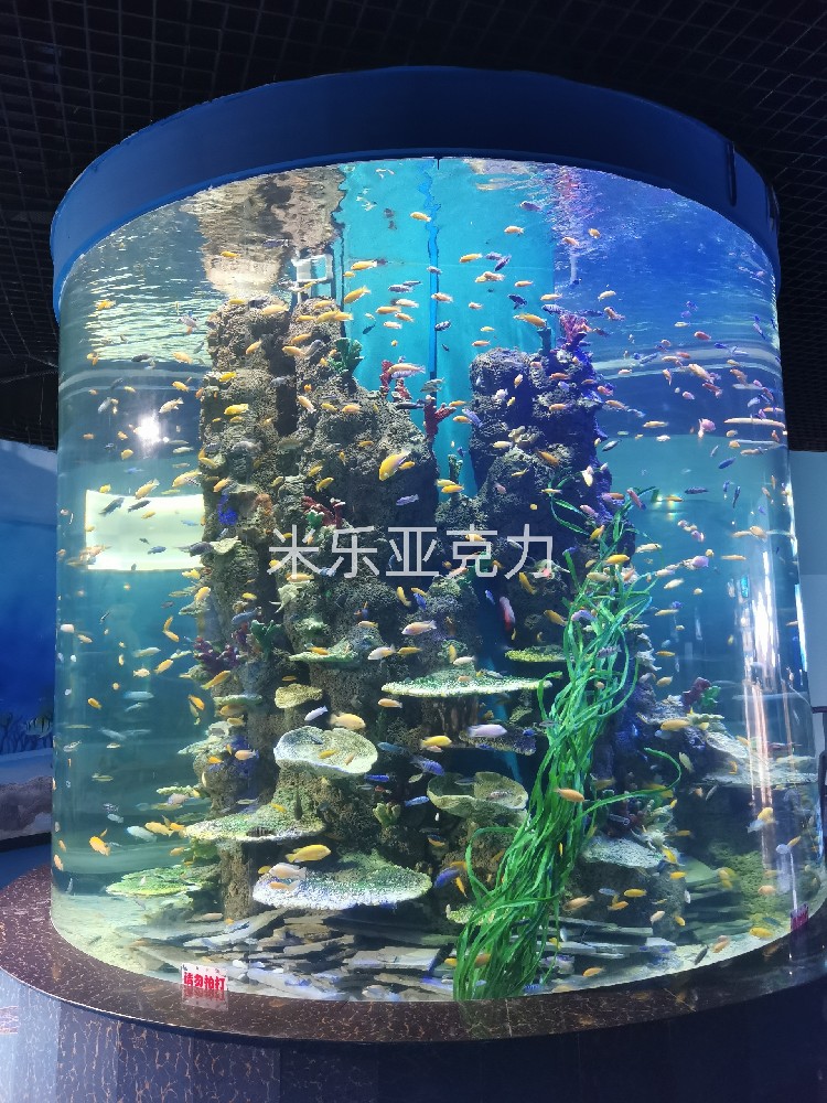 <b>亞克力魚缸：為何是養(yǎng)魚的不二選擇？</b>